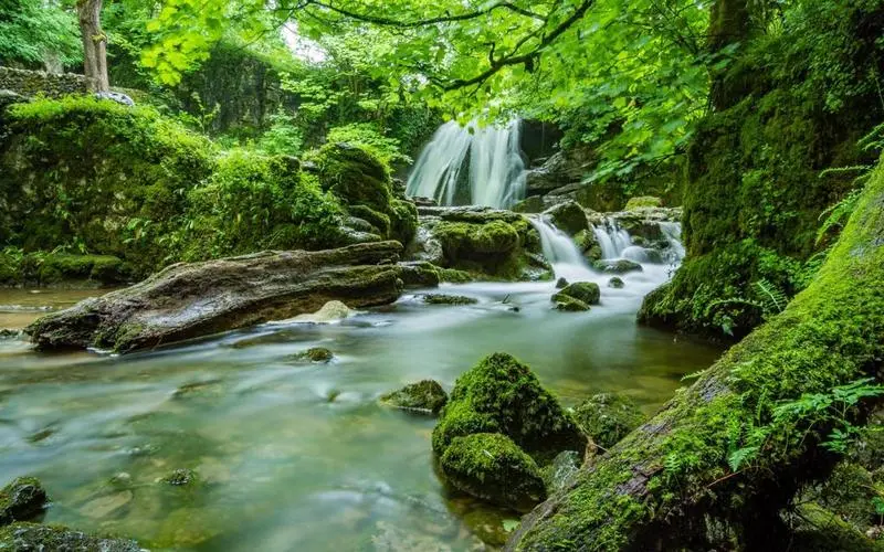稳定性高质量